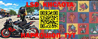 стафф Лесосибирск