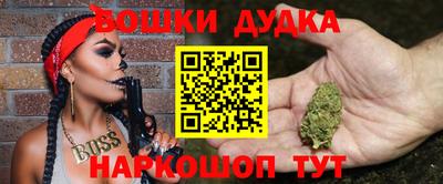 стафф Лесосибирск